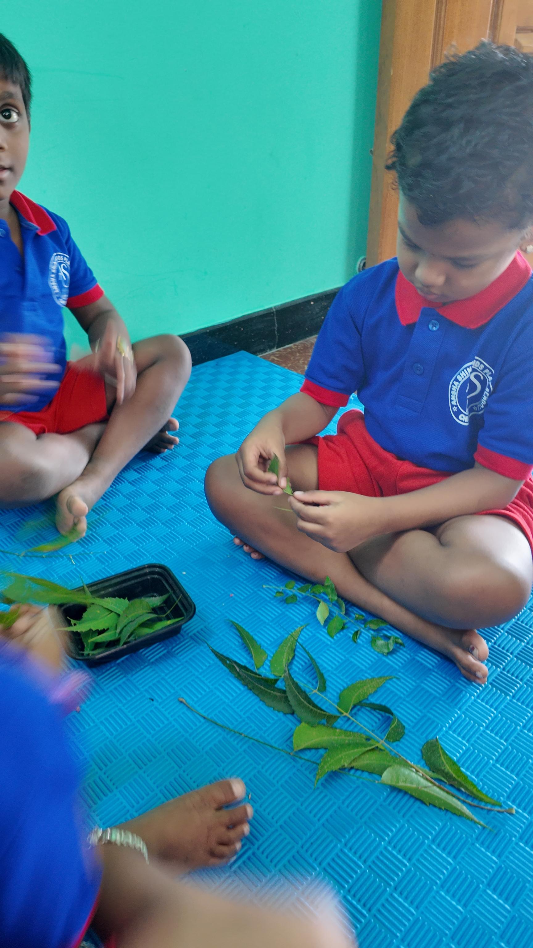 Ansha Shine Kids School student